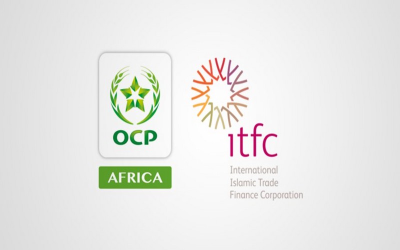 L’OCP Africa et l’ITFC s’associent pour le renforcement des capacités agricoles en Afrique
