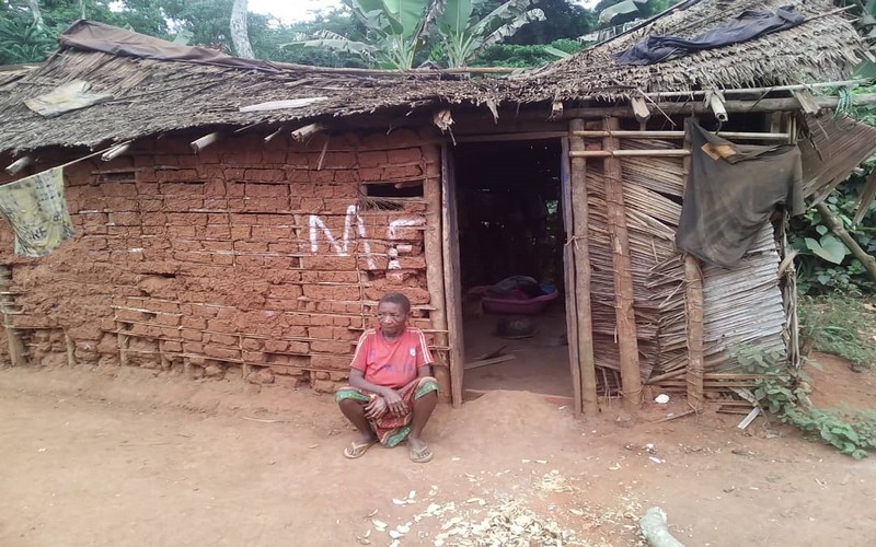 Les Peuples autochtones et le difficile accès à la justice en matière foncière au Cameroun