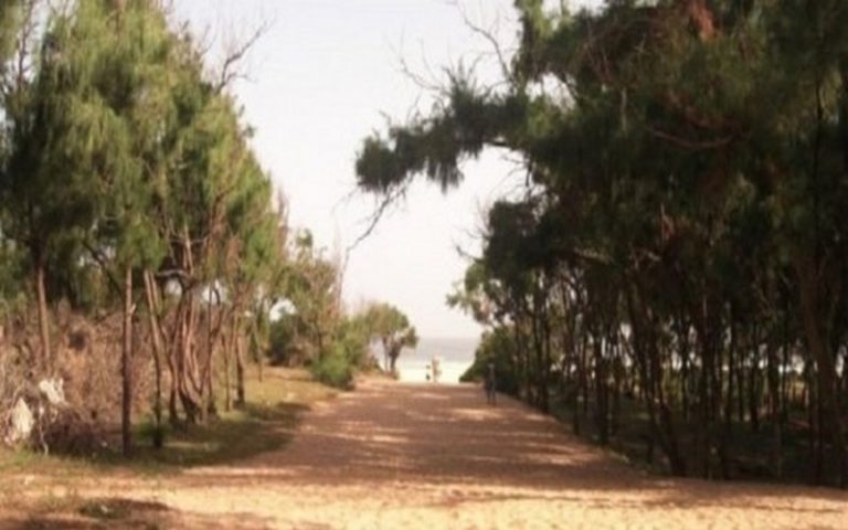 Les éleveurs et agriculteurs de Mbour (Sénégal) contre le déclassement forêt de Balabougou