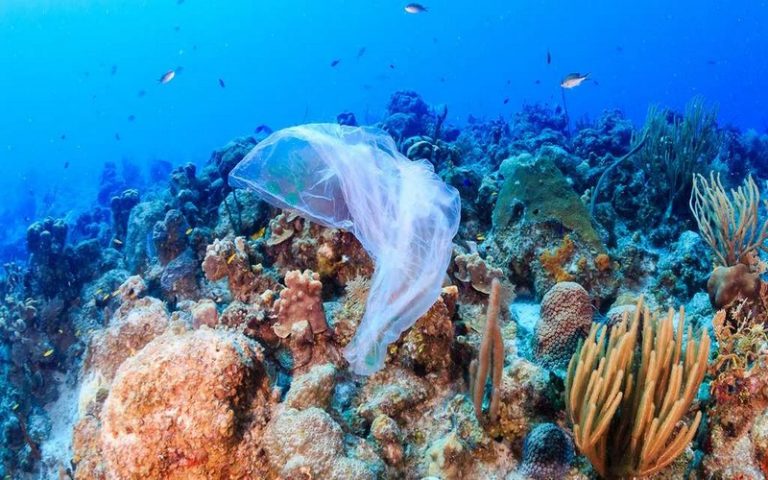 Olso (Norvège) abrite la 6ème conférence « Our Ocean » 2019