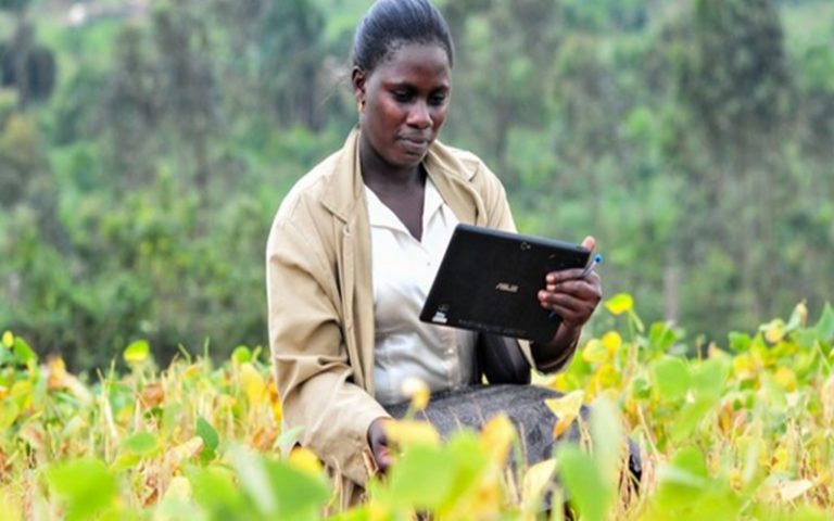 Seuls une dizaine de pays africains ont pris la mesure du potentiel du numérique dans le développement agricole