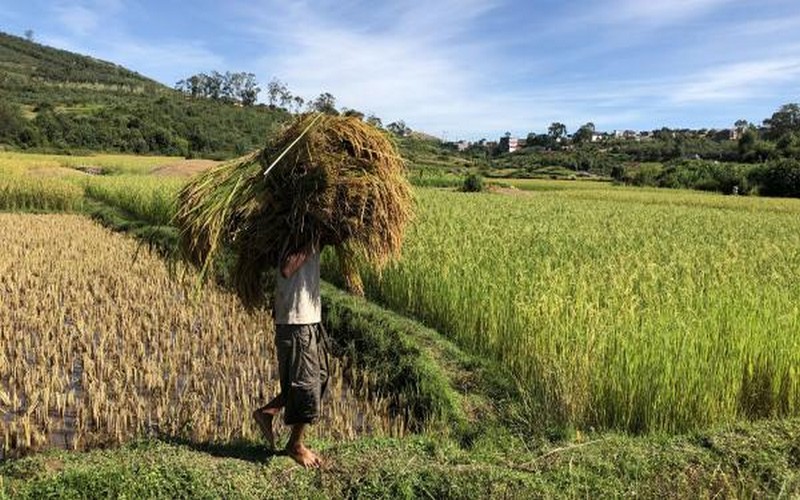 Un accord de coopération agricole lancée entre la Chine et Madagascar