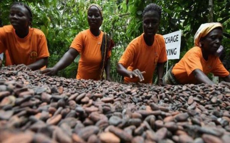 La World Cocoa Foundation organise une réunion sur le cacao à Berlin, en Allemagne