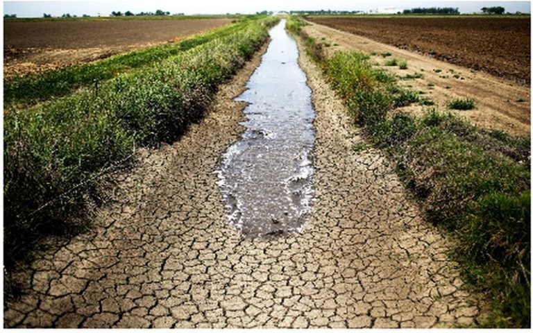 Afrique subsaharienne : la sécurité alimentaire sous le diktat d’une grave sécheresse