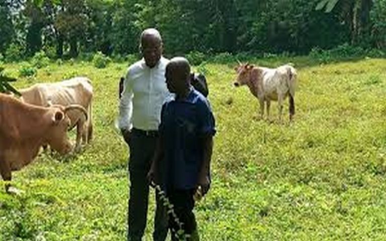 Côte d’Ivoire : Moussa Dosso entre visite sur des fermes et le site du SARA 2019