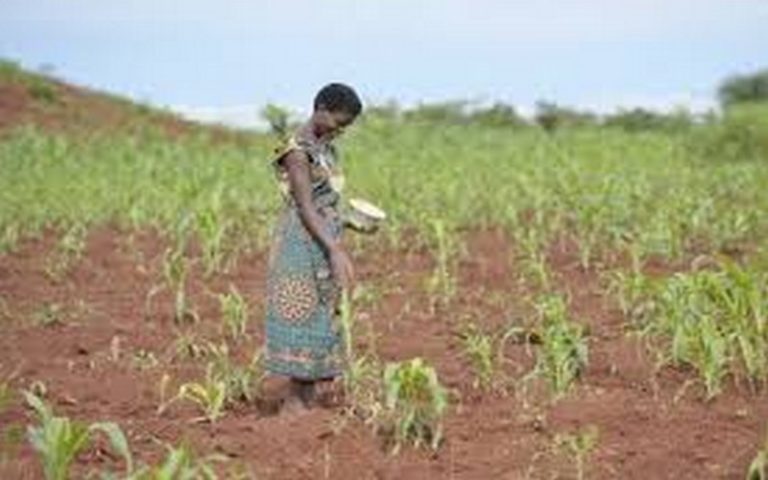 La FUCEC développe une approche de financement innovante pour répondre aux besoins des acteurs des chaînes de valeur agricoles au Togo