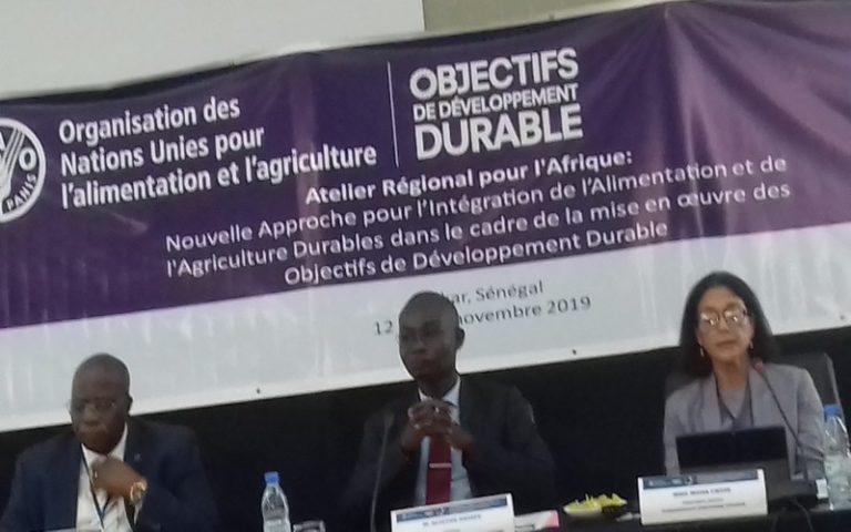 Les pays africains butent sur l’atteinte de l’Objectif N°2 des ODD, selon la FAO