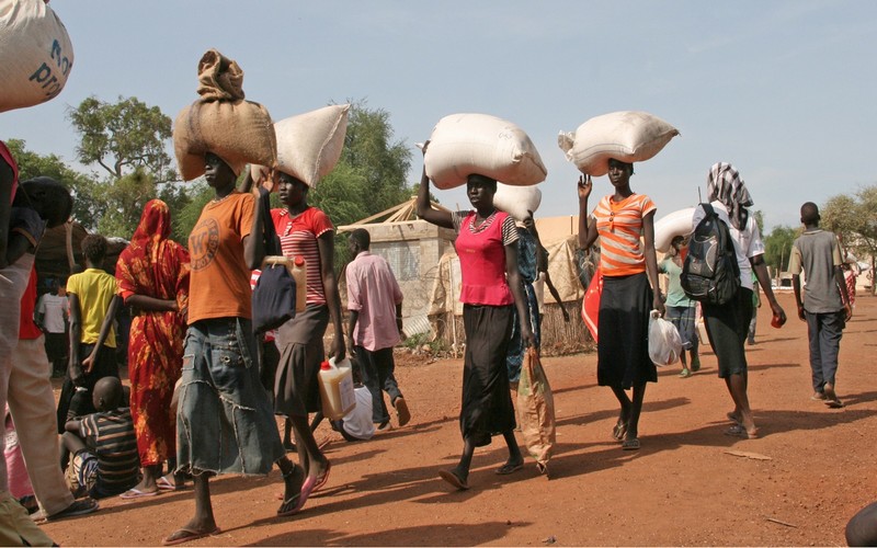 Insécurité alimentaire : Plus de 80 millions de personnes menacées en Afrique, selon la FAO