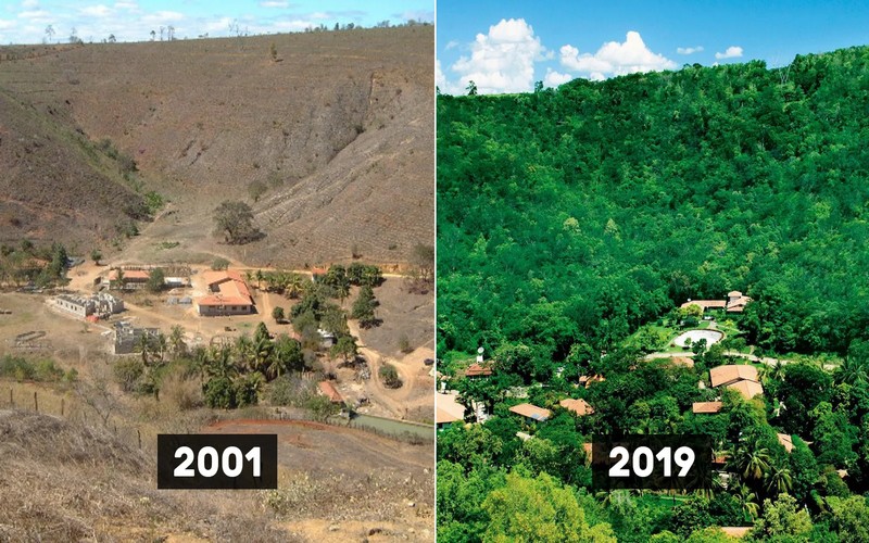 Recréation d’une forêt : un couple a planté 2 millions d’arbres en 20 ans