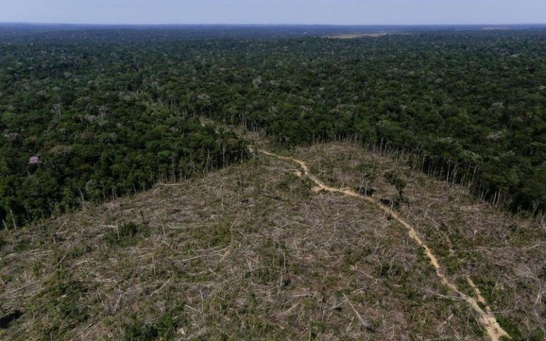 Déforestation de l’Amazonie : Jair Bolsonaro portera-t-il le coup fatal ?