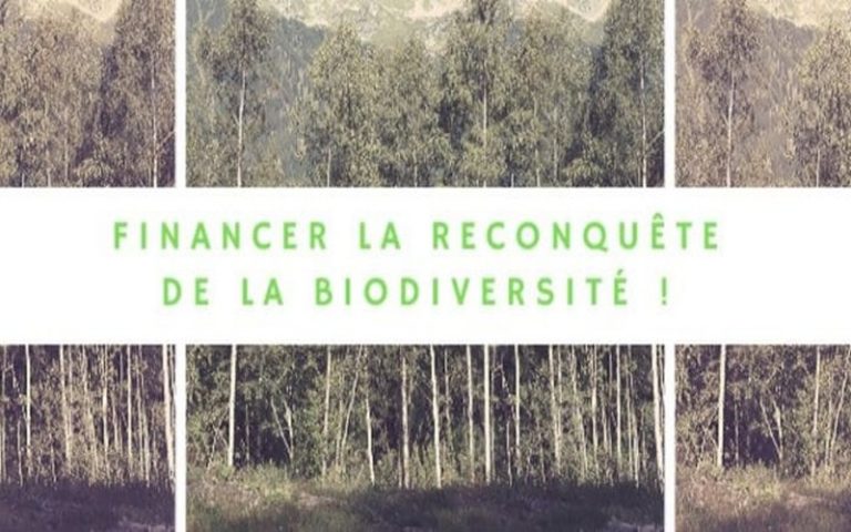 Déforestation : des tirelires pour replanter des arbres