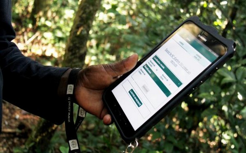 La Centrafrique se dote d’un dispositif de régénération de la forêt