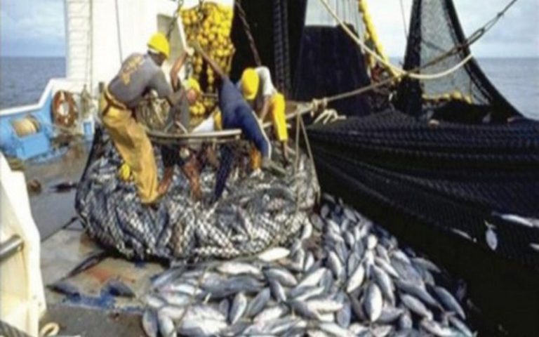 La CSRP affirme que la pêche INN « menace la sécurité alimentaire »
