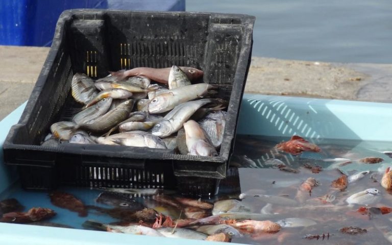 Surexploitation et l&rsquo;utilisation de techniques de pêche prohibées au Sénégal : le programme « Radio du Littoral » lancé
