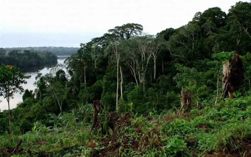 La Colombie accueillera la Journée mondiale de l’environnement 2020 sur la biodiversité