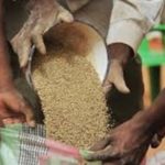 Impact de la Covid-19 sur la sécurité alimentaire : les organismes internationaux redoutent une famine