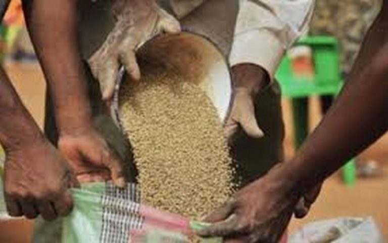L’insécurité alimentaire exacerbée par la crise sécuritaire en Centrafrique