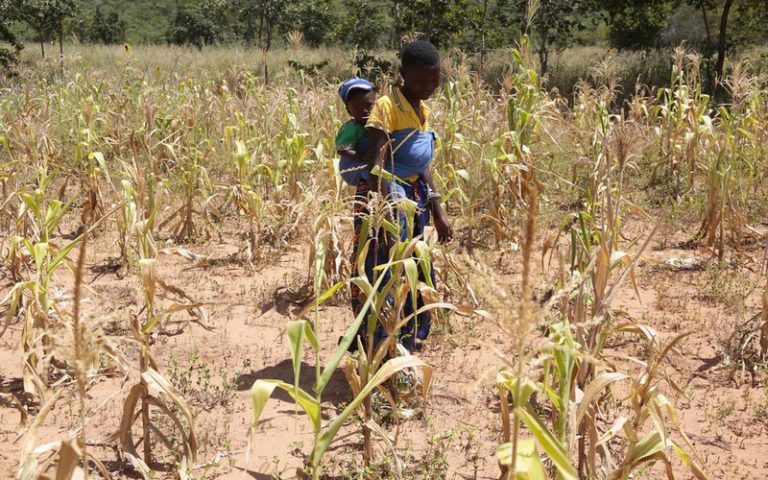 Le PAM invite la communauté internationale à renforcer son aide aux millions de Zimbabwéens en proie à la faim