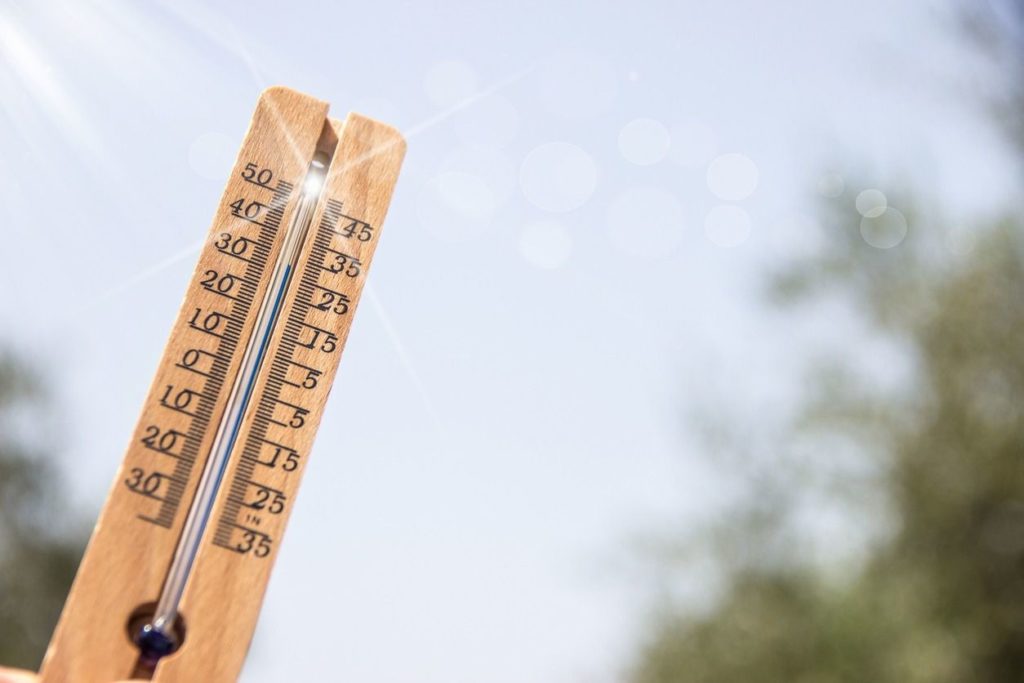 Le mois de Novembre 2019 est mois le plus chaud jamais enregistré depuis 1880