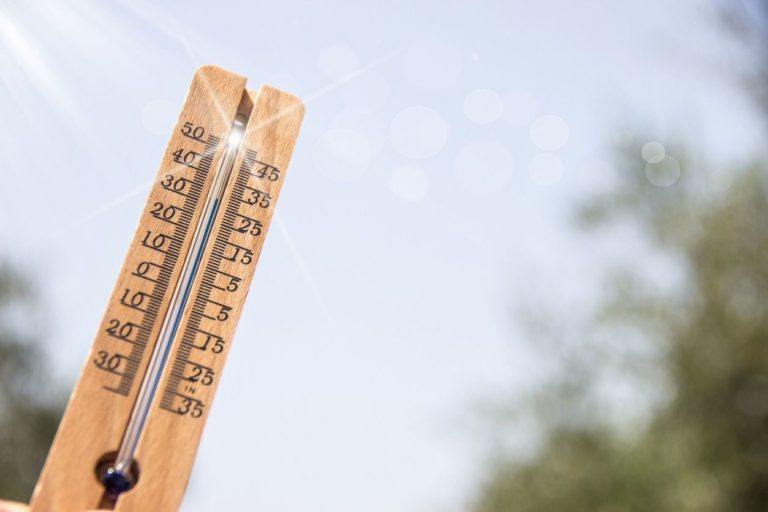 Le mois de Novembre 2019 est mois le plus chaud jamais enregistré depuis 1880