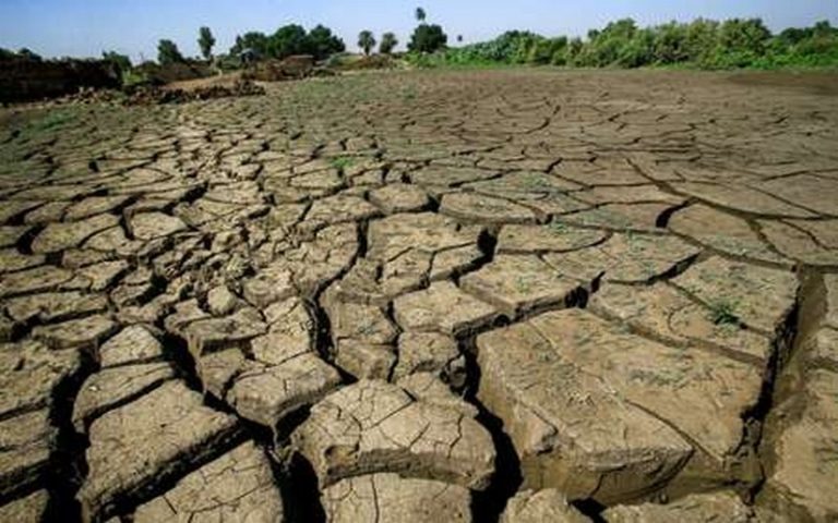 Les pays africains s’investissent dans la réhabilitation des terres agricoles dégradées