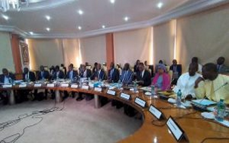 Lutte contre le changement climatique : le Ghana développe 35 programmes