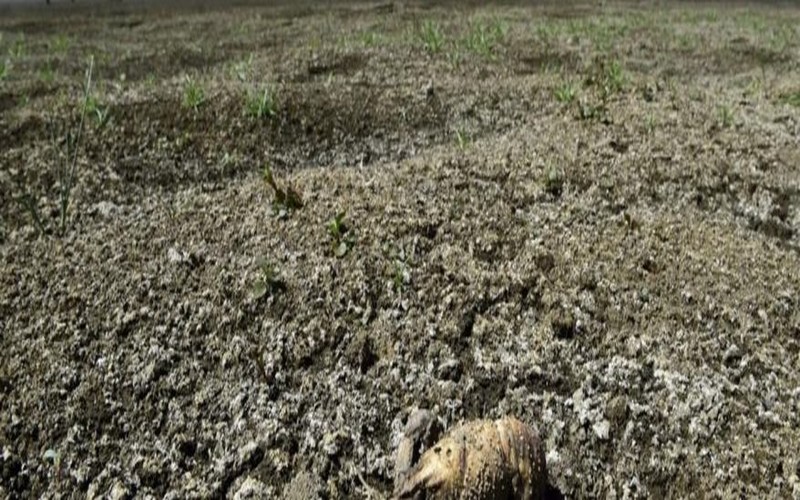 Pour l’ONU, l’année 2019 clôt la décennie la plus chaude jamais enregistrée