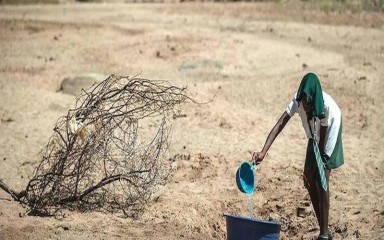 Sécheresse en Afrique australe : ce signal fort du changement climatique
