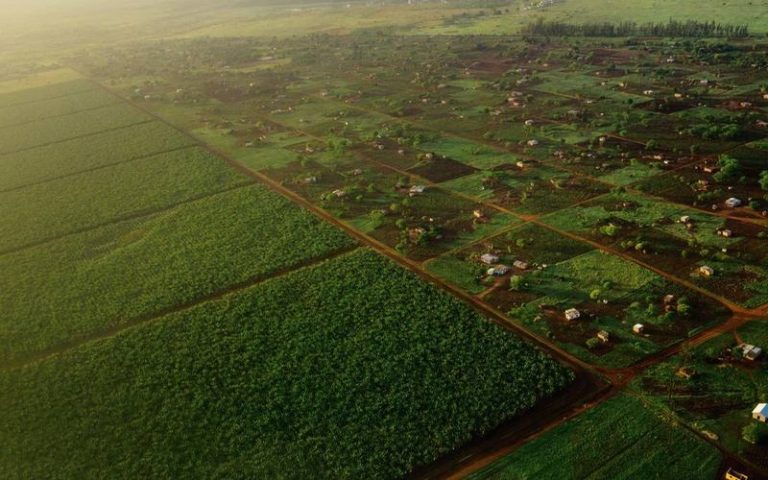 Vers la publication du projet d’amendement pour l’expropriation foncière en Afrique du Sud