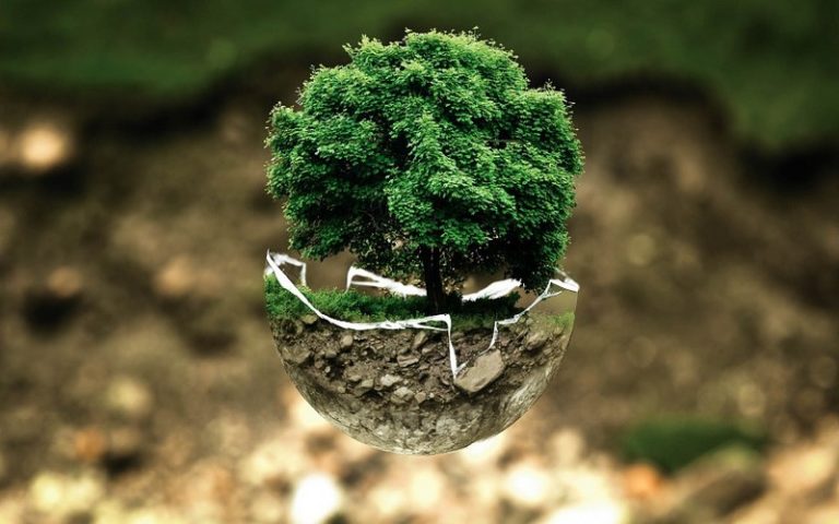 Biodiversité : la France propose la création de normes internationales