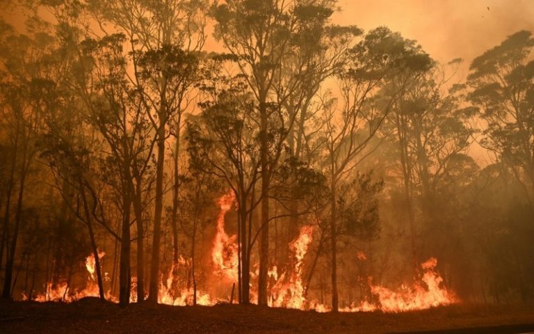 Feux de forêts : l&rsquo;Australie compte ses morts et évalue les « dégâts considérables »