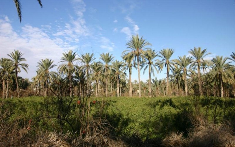 Khaireddine Debaya compte mettre fin à la pollution de la ville de Gabès en Tunisie