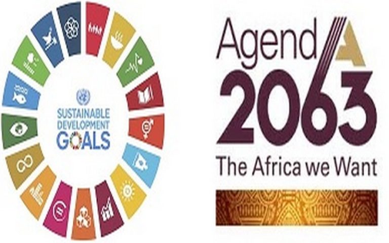 Le 6ème Forum régional africain sur le développement durable organisé en février 2020