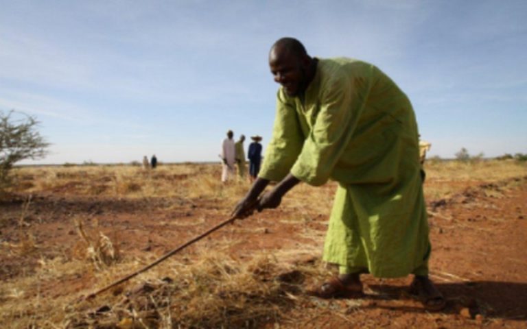 Le Congo-Brazzaville, pays hôte du forum sur l’emploi des jeunes dans l&rsquo;agriculture
