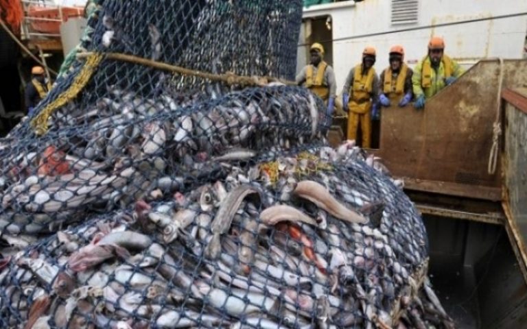 Les exportations de la pêche ont connu une baisse en 2019 en Mauritanie