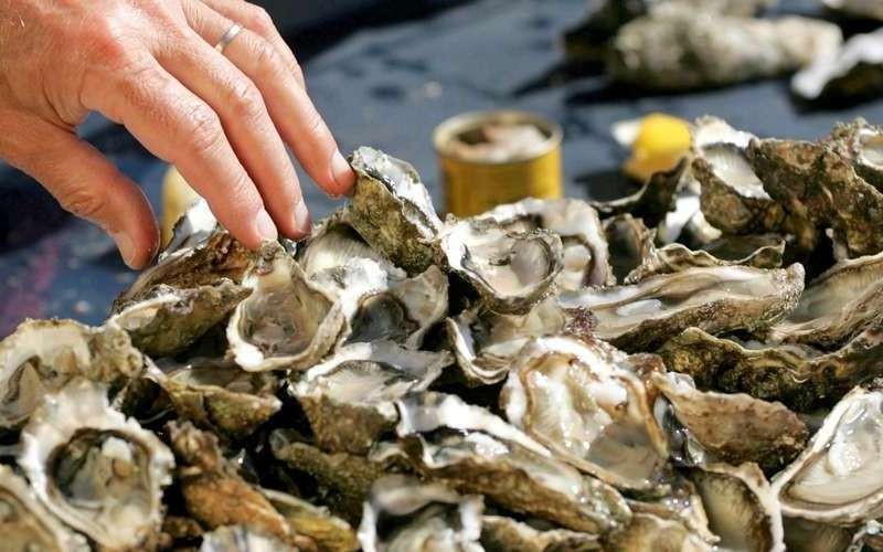 Les ostréiculteurs victimes de la pollution des mers