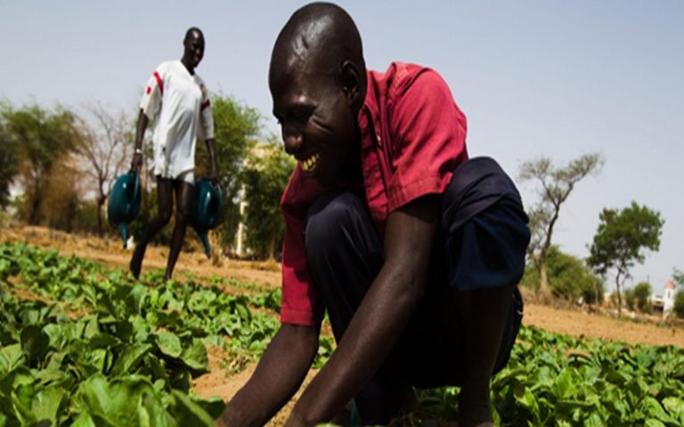L’agriculture, l’exploitation forestière la pêche… à l’origine de la hausse du PIB de la Tanzanie