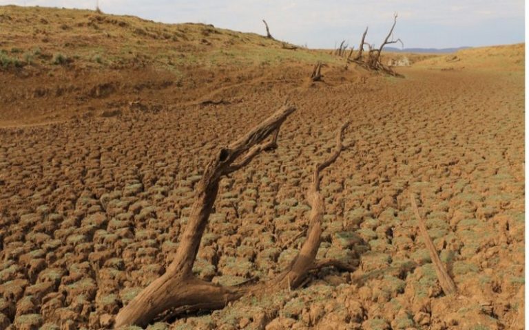 L’Afrique dépense jusqu’à 5% de son PIB pour lutter contre le changement climatique, dixit Power Shift Africa