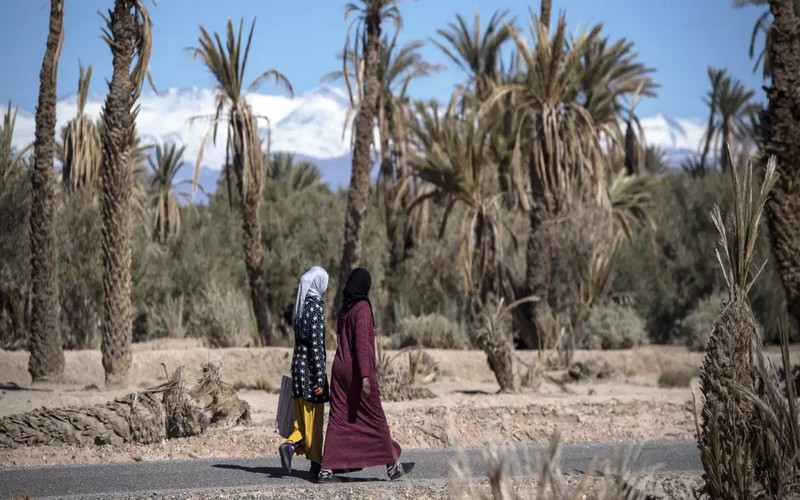 Dans le sud du Maroc, des oasis ancestrales menacées d’extinction