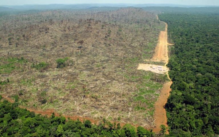 Frappées par l&rsquo;épisode extrême El Niño de 2015-2016, les forêts tropicales africaines peine à récupérer