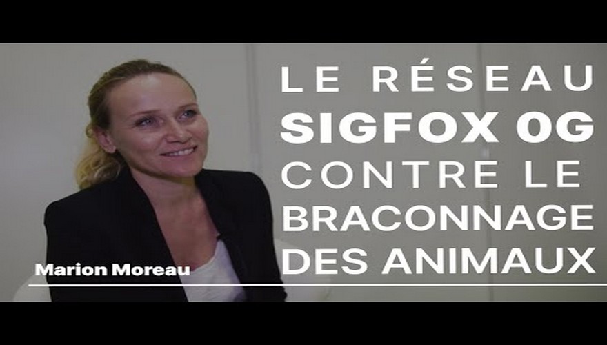 La Fondation Sigfox mise sur « le réseau 0G pour lutter contre le braconnage d’animaux menacés »