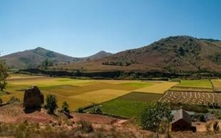 La destruction de l&rsquo;environnement affecte plus Madagascar, selon le WWF