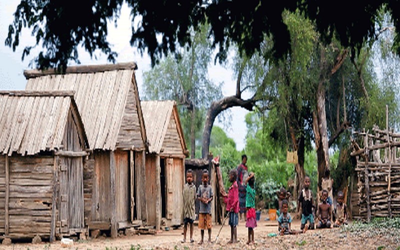 Les communautés Malgaches d’Ankodida et du Nord Ifotaky, de bons élèves en matière de protection des forêts