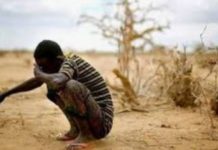 Les populations de Zambie et du Zimbabwe mises à genoux à cause de la famine