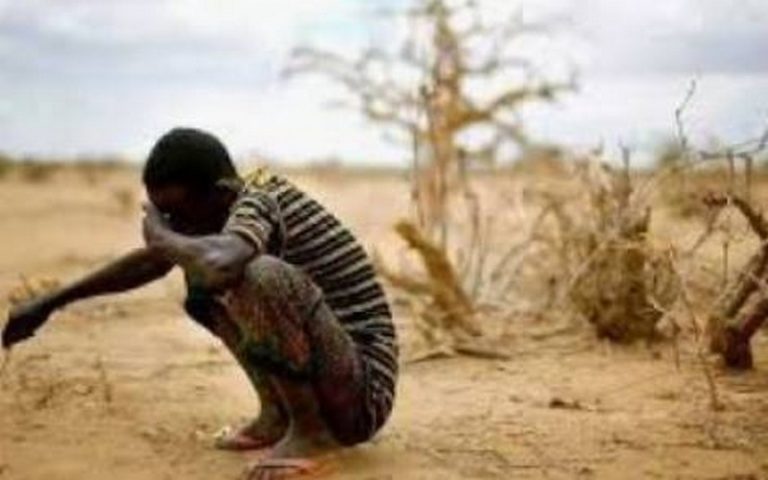 Les populations de Zambie et du Zimbabwe mises à genoux à cause de la famine