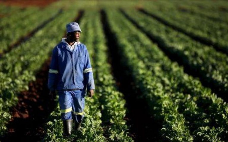 Mike Pompeo estime que l’expropriation foncière sans compensation serait désastreuse pour l’économie sud-africaine