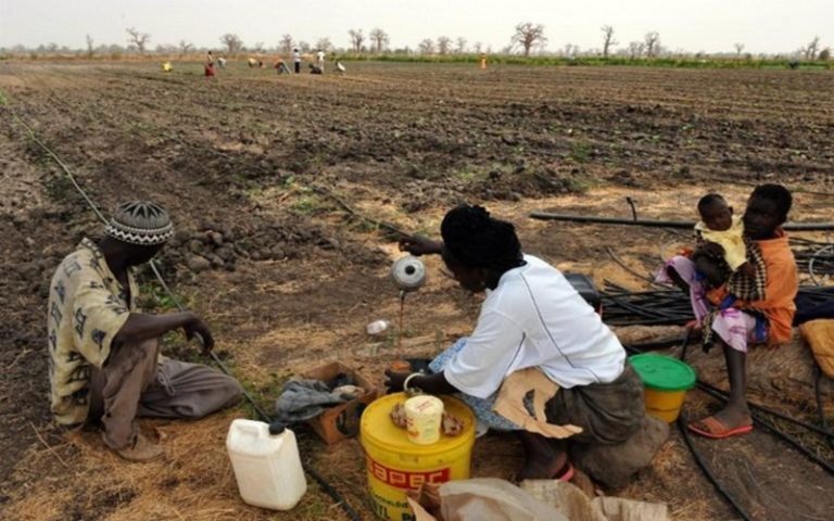 Sénégal : le DRIARS crée les conditions de la pérennisation de ses acquis pour une sécurité alimentaire