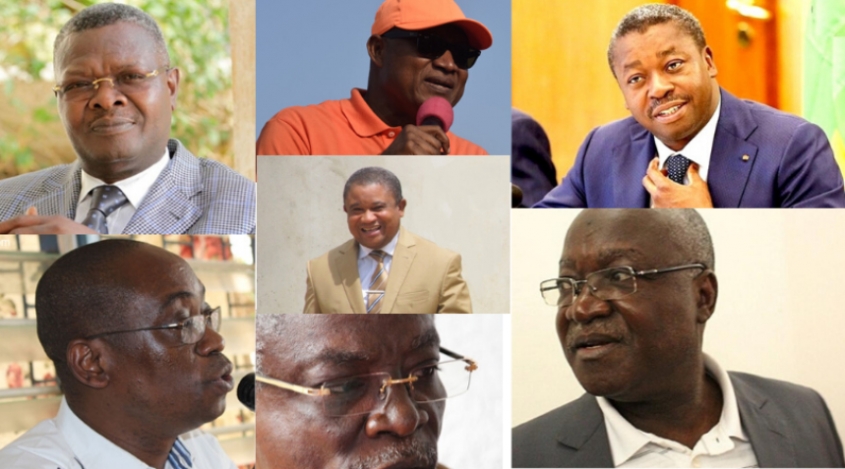 Togo : les candidats à la présidentielle ignorent la protection des espèces en voie d’extinction