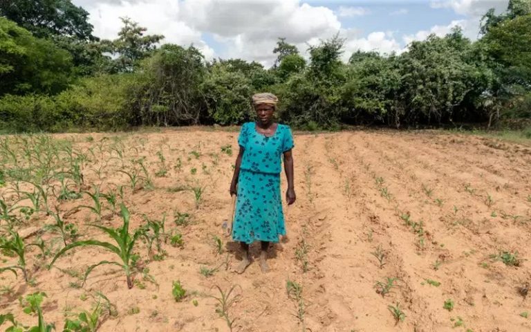 « Il n’y a plus d’avenir ici » : en Afrique australe, les ravages du changement climatique