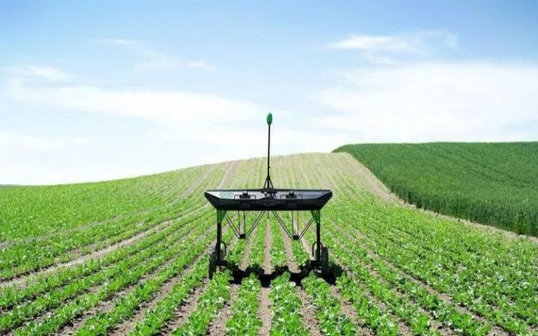 Innovation agricole : 50 000 euros seront octroyés aux porteurs d’idées par une agence allemande